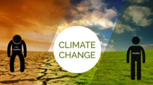 Climate Change and Real Estate Markets